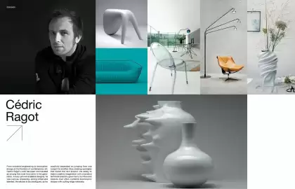 Catálogo Roche Bobois Página 119