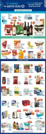 Folheto Sam's Club Página 1: Energético red bull €13,99, Arroz tio joão €9,49