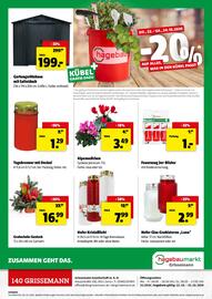 Der Grissemann Flugblatt Seite 12: Alpenveilchen Cyclame persicum. T12. €3,49, Hofer Kristalllicht €7,99