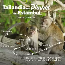 Catálogo Mega Travel semana 43 Página 4