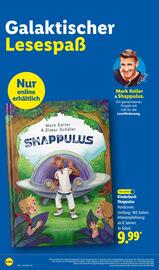 Lidl Prospekt woche 44 Seite 76