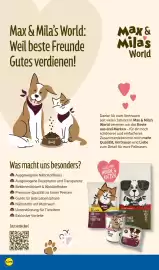 Lidl Prospekt woche 44 Seite 30