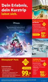 Lidl Prospekt woche 44 Seite 73: Ticket & Hotel €99,00, TAUERN SPA Zell am See Kaprun €155,00