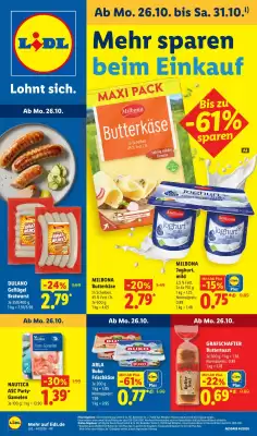 Lidl (gültig bis 1-11)