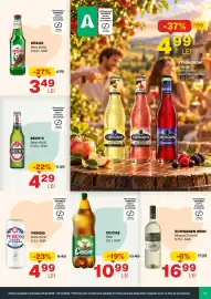 Catalog Annabella Pagină 13: Ciucas Bere €10,99, Peroni Bere doză €4,99
