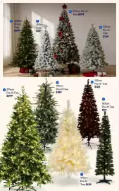 BIG W catalogue Page 17: Pre-lit Tree €139,00, Pre-lit Tree €299,00