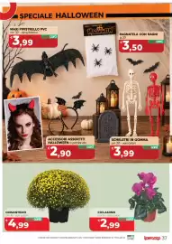 Volantino Coop Master Alleanza 3.0 | ipercoop Pagina 39: Crisantemo €4,99, Ciclamino €2,99