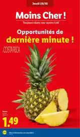 Catalogue Lidl semaine 44 page 4