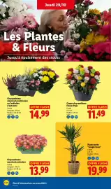 Catalogue Lidl semaine 44 page 32