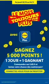 Catalogue Lidl semaine 44 page 39