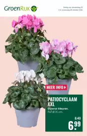 GroenRijk folder week 43 Pagina 1: Patiocyclaam XXL €6,99