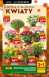 Biedronka gazetka Strona 18