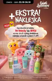 Biedronka gazetka Strona 53