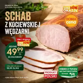 Gzella gazetka Strona 1