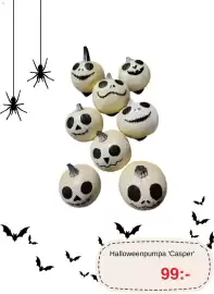 Blomsterlandet reklamblad vecka 44 Sida 3: Halloweenpumpa 'Casper' €99,00