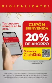 Folleto Supermercados DIA semana 43 Página 14