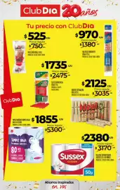 Folleto Supermercados DIA semana 43 Página 36