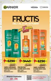 Folleto Supermercados DIA semana 43 Página 7