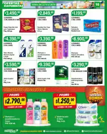Catálogo Supermercados Damesco semana 43 Página 10