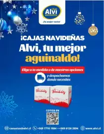 Catálogo Alvi Página 24