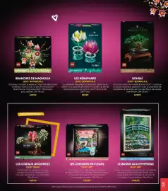 Catalogue Fnac page 71: Lego ideas les oiseaux amoureux €49,99, Lego botanicals bonsaï €49,99