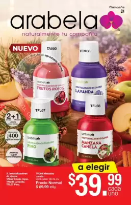 Catálogo Arabela (válido hasta 13-11)