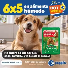 Catálogo Puppis Página 4