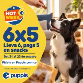 Catálogo Puppis Página 6