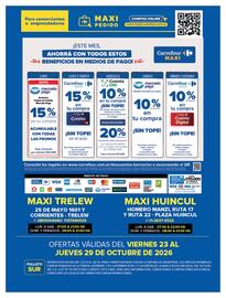 Folleto Carrefour Maxi Página 16