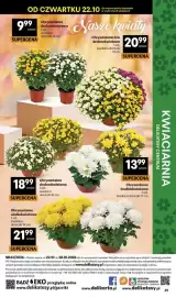 Delikatesy Centrum gazetka tydzień 43 Strona 49