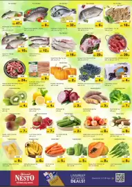 Nesto catalogue Page 11