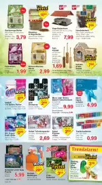 Wiglo Wunderland Prospekt woche 44 Seite 10: Soled Toilettenpapier €2,69, Mexx oder Bruno Banani Geschenkset €9,99