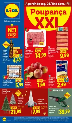 Lidl (válido até 1-11)