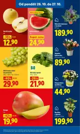 Lidl leták Strana 13