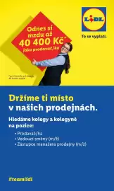 Lidl leták Strana 51