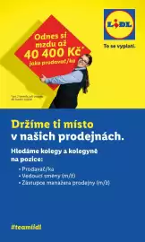 Lidl leták Strana 42