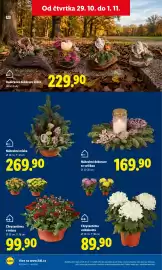 Lidl leták Strana 53