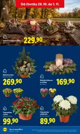 Lidl leták Strana 55: Dušičková dekorace srdce €229,90, Náhrobní miska €269,90
