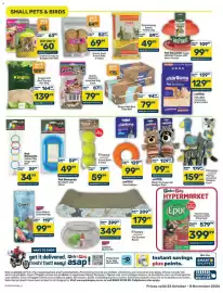 Pick n Pay catalogue Page 4: Kingco Wild Bird Seed Bell €79,99, Grakim Canary or Budgie Seed Bell €60,00