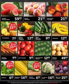 Oxford Freshmarket catalogue Page 2: Gemsquash Sleeve €12,99, Peach Punnets €21,99