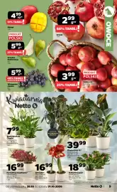 Netto gazetka tydzień 44 Strona 9: Mango €4,99, Pernetthya Gaultheria* €16,99