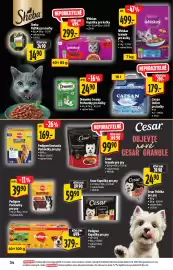 Albert leták Strana 34: Whiskas kapsičky pro kočky €299,00, Whiskas Granule pro kočky €499,00