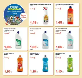 Volantino Oasi Pagina 28: Sgrassatore universale Marsiglia €1,45, WC disincrostante Consilia €1,00