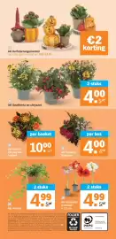 Albert Heijn folder week 44 Pagina 37: AH Amaryllis €4,99, AH Hedera €4,99