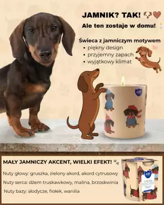 Vica (ważność do 29-10)
