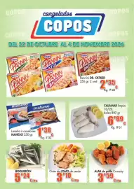 Catálogo Congelados Copos Página 1: Dr. Oetker Pannini €2,35, Calamar limpio €6,89