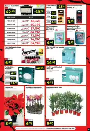 Folleto Alcampo Página 11: Drvn ambientador €4,83, Mix planta verde XXL €9,87