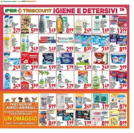 Volantino Iper Triscount Pagina 19: Bref Gabbietta WC Power Active €0,99, L'Acchiappacolore Grey €3,99