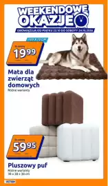 Action gazetka tydzień 43 Strona 7