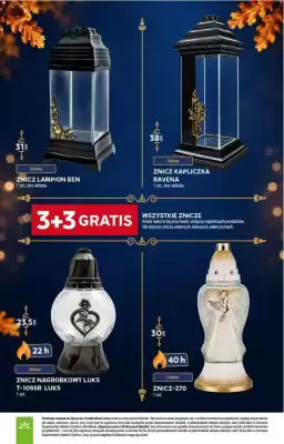 Stokrotka gazetka (ważność do 4-11)